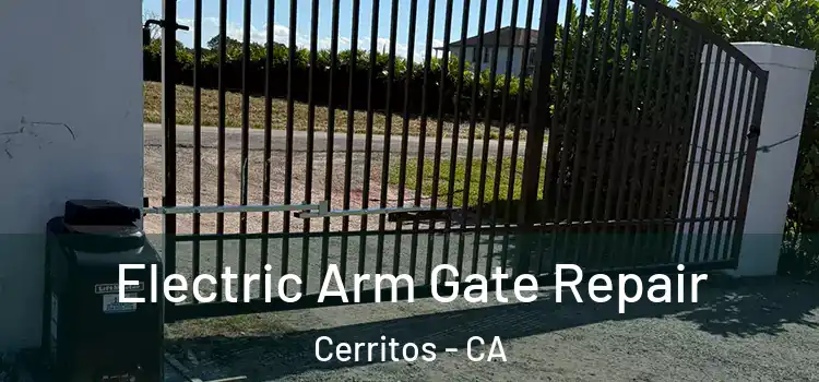  Electric Arm Gate Repair Cerritos - CA