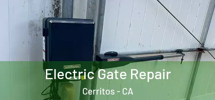  Electric Gate Repair Cerritos - CA