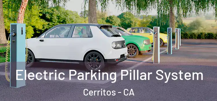  Electric Parking Pillar System Cerritos - CA