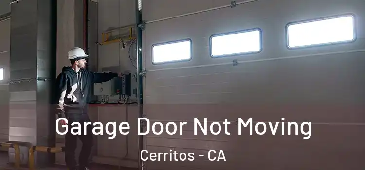  Garage Door Not Moving Cerritos - CA