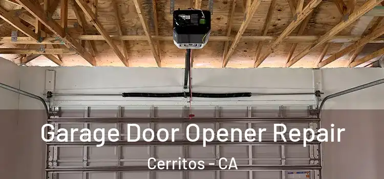  Garage Door Opener Repair Cerritos - CA