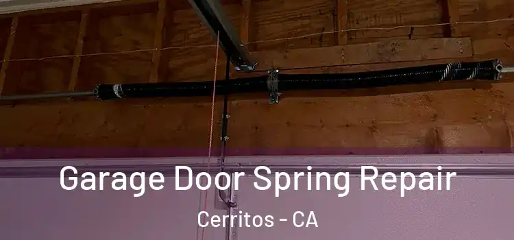  Garage Door Spring Repair Cerritos - CA