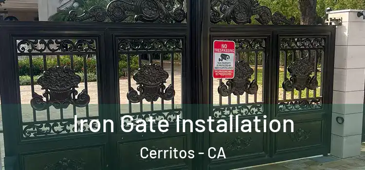  Iron Gate Installation Cerritos - CA