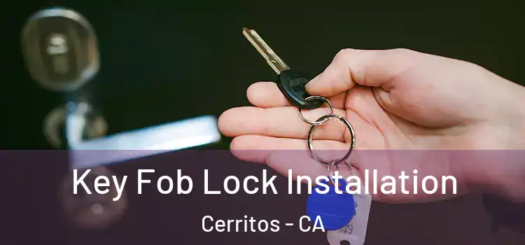  Key Fob Lock Installation Cerritos - CA
