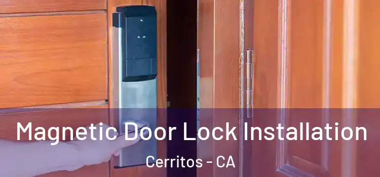  Magnetic Door Lock Installation Cerritos - CA