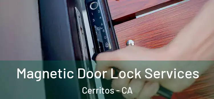  Magnetic Door Lock Services Cerritos - CA