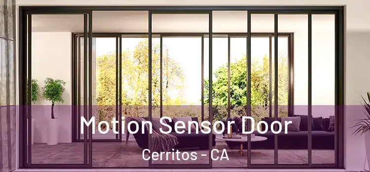 Motion Sensor Door Cerritos - CA