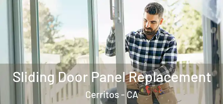  Sliding Door Panel Replacement Cerritos - CA